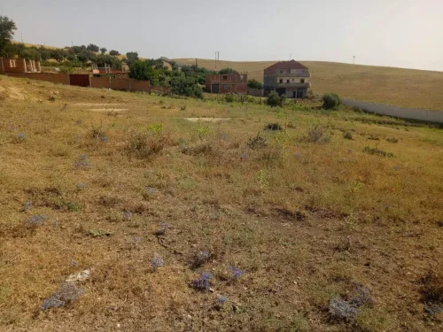 Vente Terrain Blida El affroun