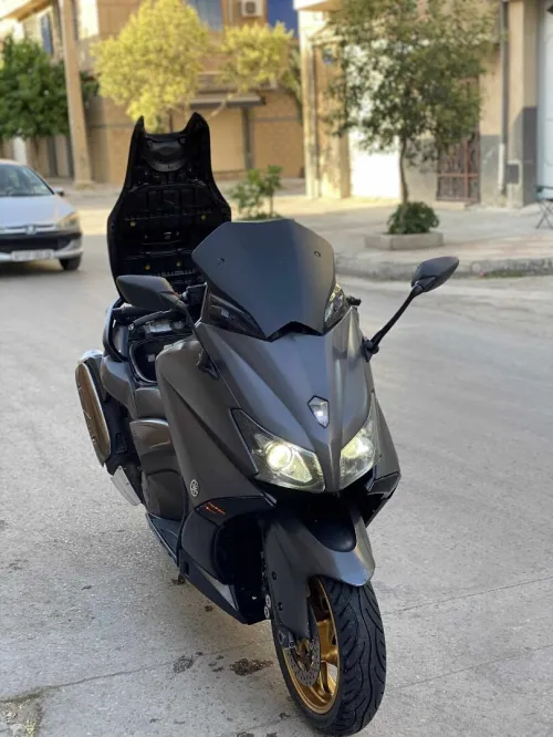 Timax 530 blac max 2012