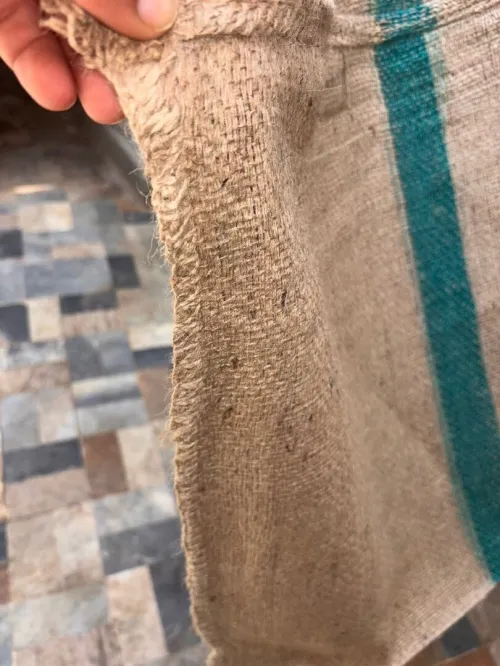 Sacs de jute خيشة بنغلادش