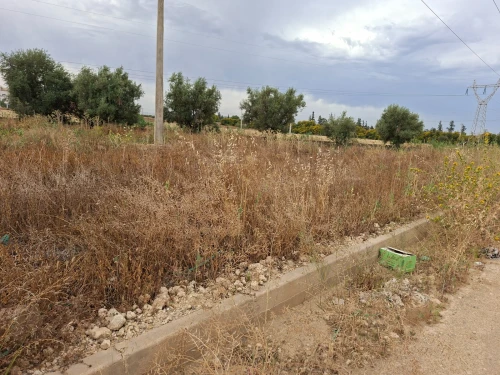 Vente Terrain Relizane Relizane 3