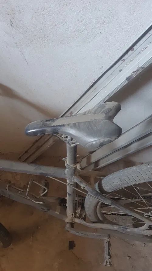 velo