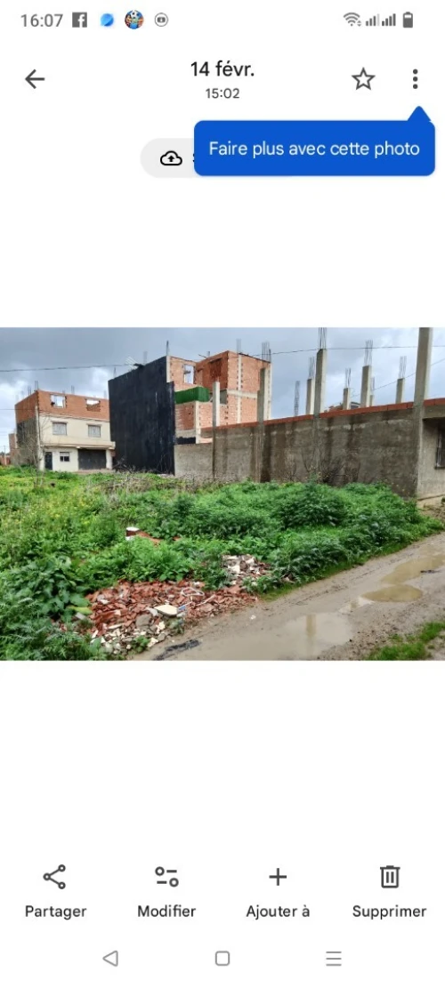 Vente Terrain Blida Ouled selama