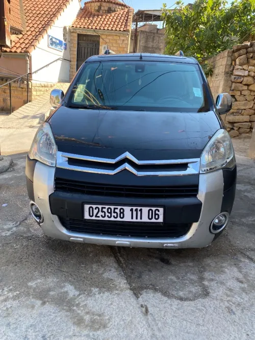 Peugeot Partner 2011 Tepee