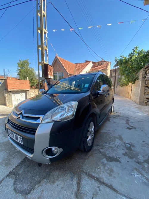 Peugeot Partner 2011 Tepee