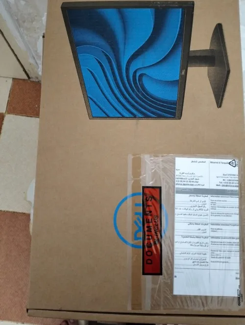Moniteur DELL 22 "