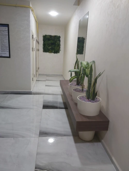 Location Appartement F4 Alger Cheraga