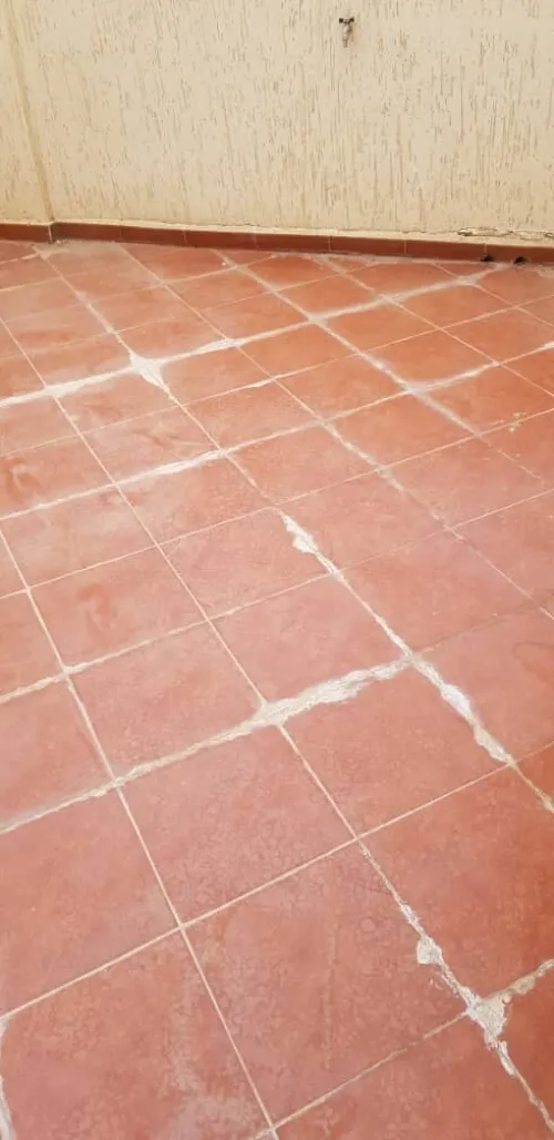 Location Appartement F3 Alger Cheraga