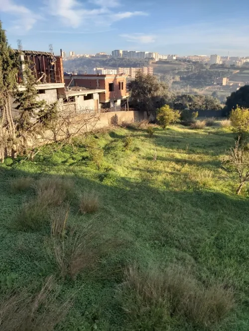 Vente Terrain Tipaza Kolea
