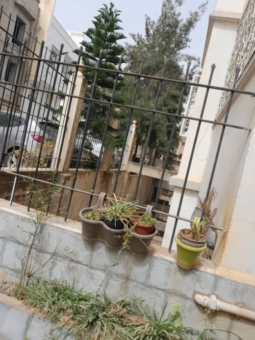 Vente Appartement F4 Alger Beni messous
