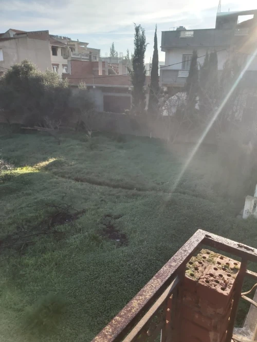 Vente Terrain Tipaza Kolea