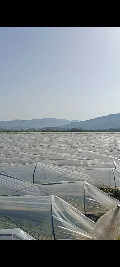 Vente Terrain Agricole Jijel Taher
