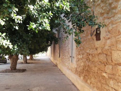 Vente Terrain Mostaganem Fornaka