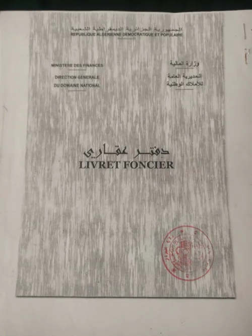 Vente Terrain Alger Said hamdine