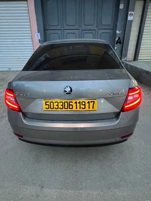 Skoda Octavia 2019 Clever