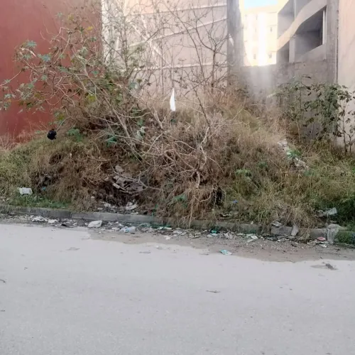Vente Terrain Alger El achour