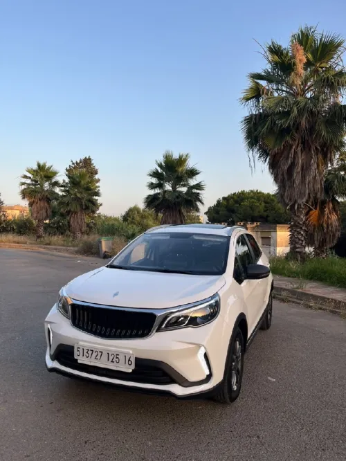 Livan X3 Pro  2025 Automatique (Avec toi ouvrant )