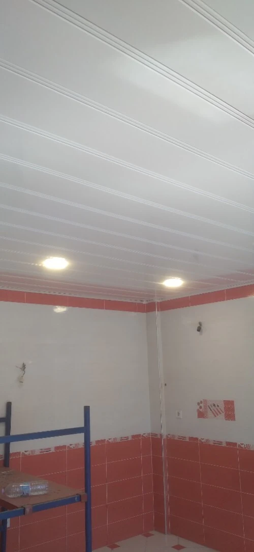Montage et pose Faux plafond en PVC et placo plâtre et peinture et led profile