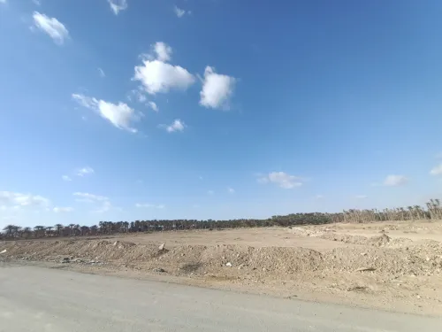 Vente Terrain Biskra Biskra