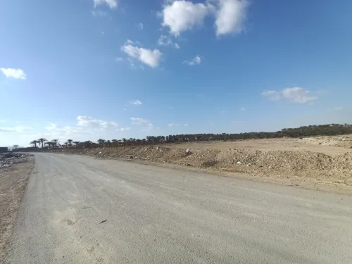 Vente Terrain Biskra Biskra