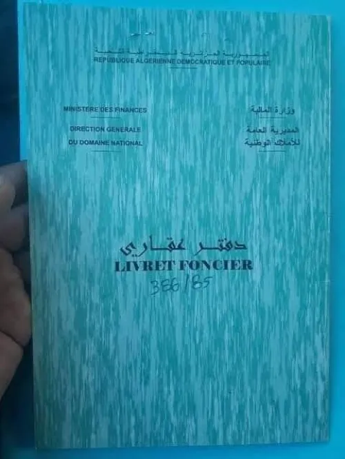 Vente Local Alger Alger centre
