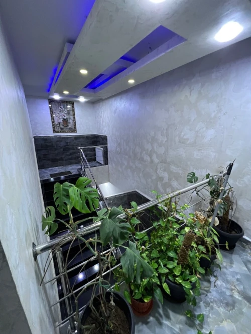Vente Villa Alger Dely brahim