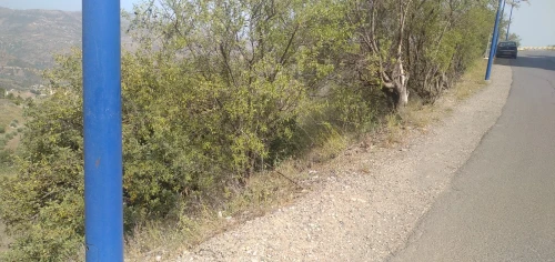 Vente Terrain Sétif Beni chebana