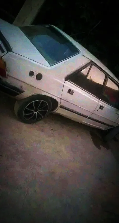 pijou 305 1984 305