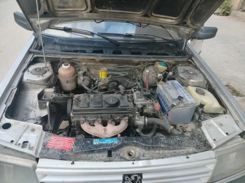 Peugeot 309 1987 309