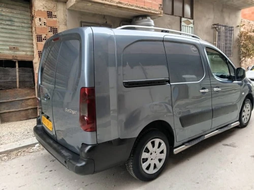 Citroen Berlingo 2009 Berlingo