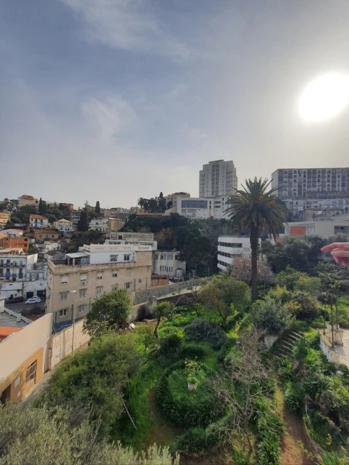 Vente Terrain Alger El mouradia
