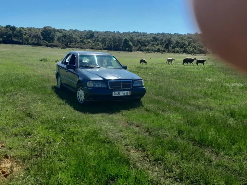 Mercedes C250 1996 C250