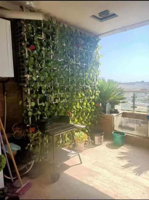 Location Appartement Duplex F7 Alger Dely brahim