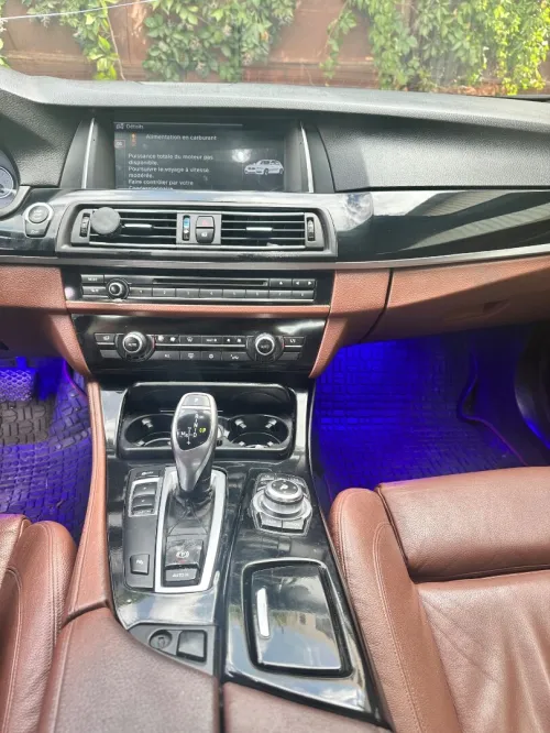 BMW Série 5 2013 520d