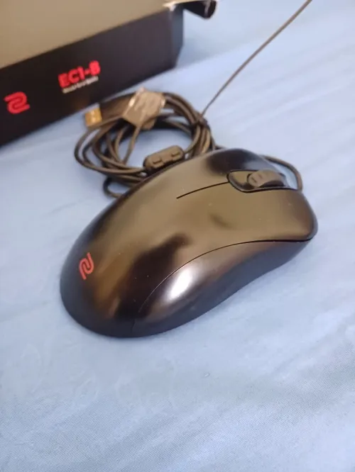 souris benq zowie ec1b