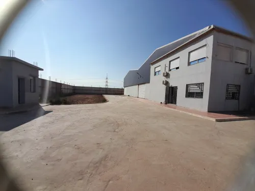 Location Hangar - Usine Oran Tafraoui