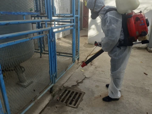 3D Service  DÉRATISATION DÉSINSECTISATION DÉSINFECTION  SETIF