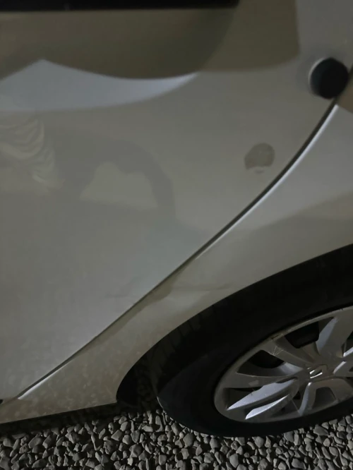 Renault Symbol 2021 Symbol