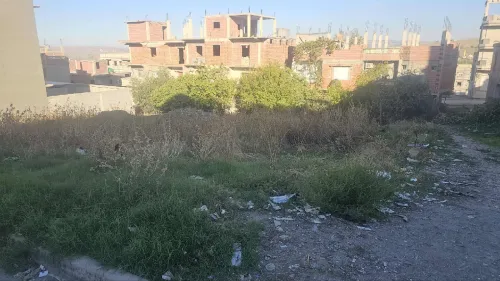 Vente Terrain Constantine Ibn ziad