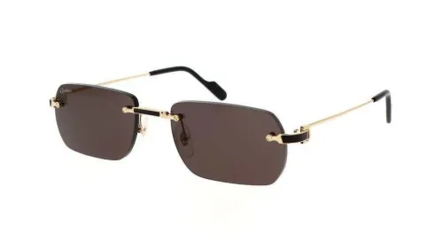 Cartier lunettes solaires 