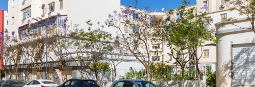 Vente Local Alger Birkhadem