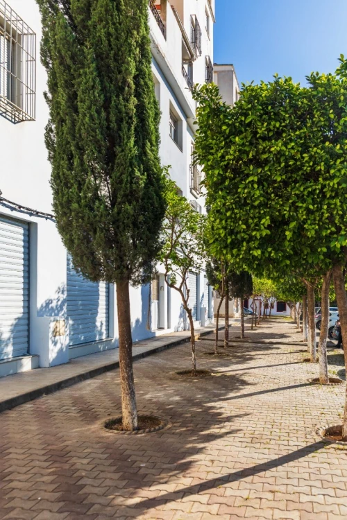Vente Local Alger Birkhadem