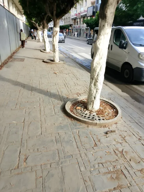 Location Local Alger El biar