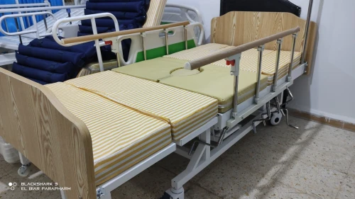 Lit Médicalisé Manuel 7 Position Avec Toilettes En ABS Importation