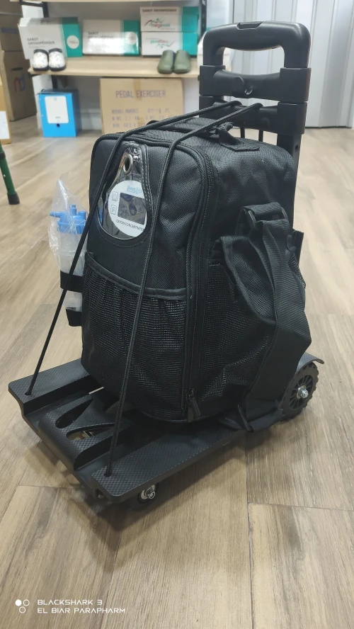 Concentrateur d'oxygène portable 6 L 