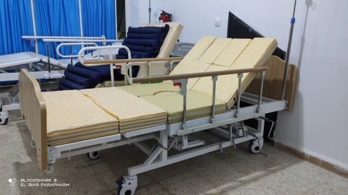 Lit Médicalisé Manuel 7 Position Avec Toilettes En ABS Importation