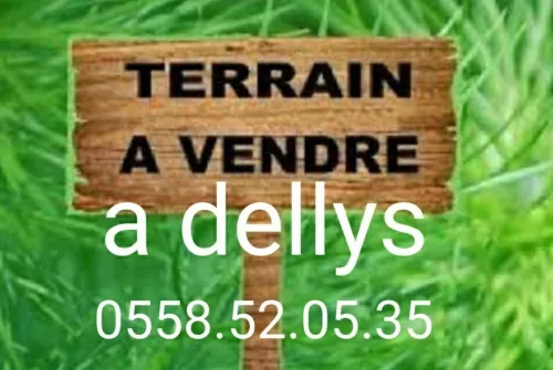 Vente Terrain Boumerdes Dellys