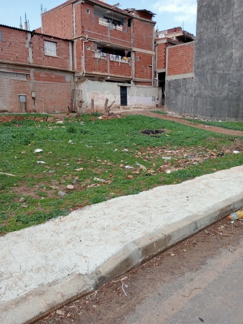 Vente Terrain Tipaza Kolea