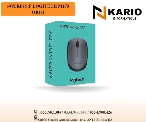 SOURIS S.F LOGITECH M170 ORG1
