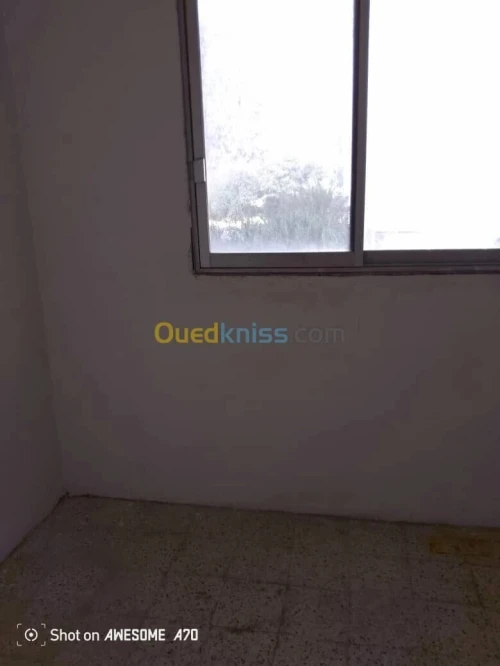 Vente Appartement F3 Alger Birkhadem