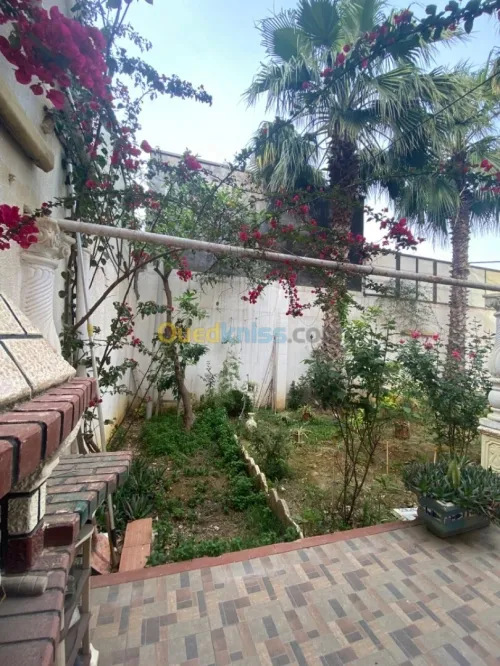 Vente Villa Alger Hussein dey